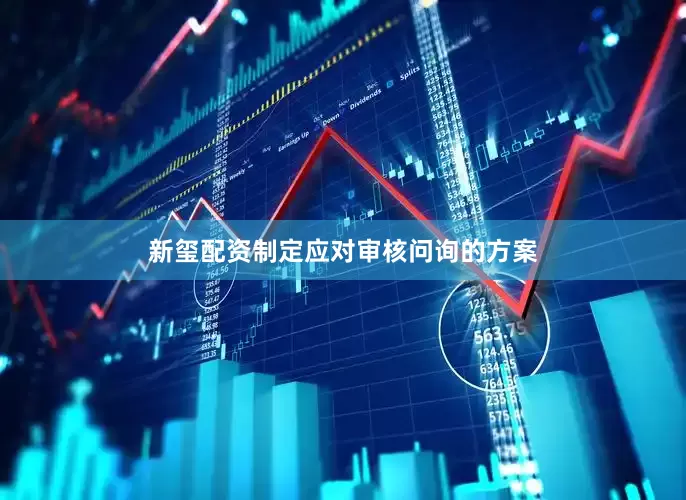 新玺配资制定应对审核问询的方案
