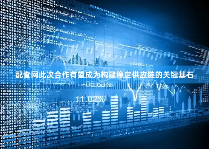 配查网此次合作有望成为构建稳定供应链的关键基石