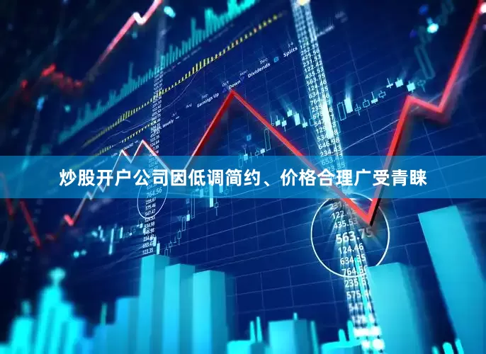炒股开户公司因低调简约、价格合理广受青睐