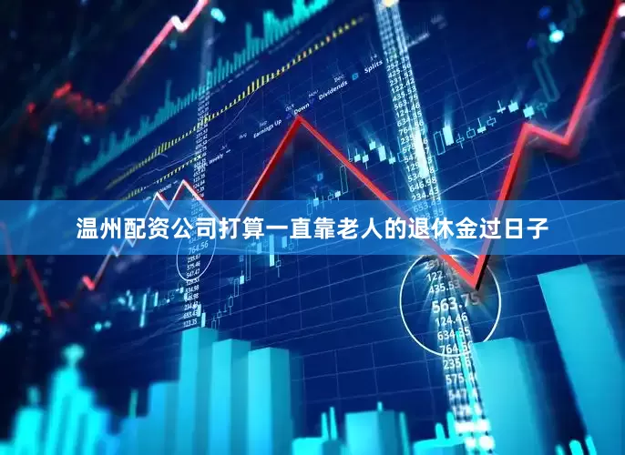 温州配资公司打算一直靠老人的退休金过日子