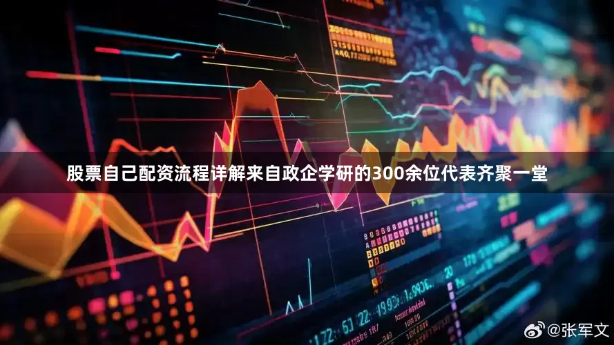 股票自己配资流程详解来自政企学研的300余位代表齐聚一堂