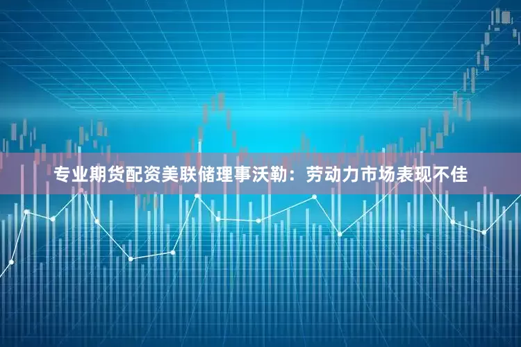 专业期货配资美联储理事沃勒：劳动力市场表现不佳