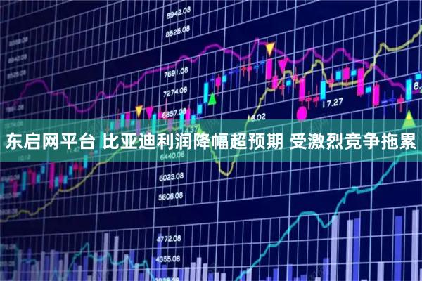 东启网平台 比亚迪利润降幅超预期 受激烈竞争拖累